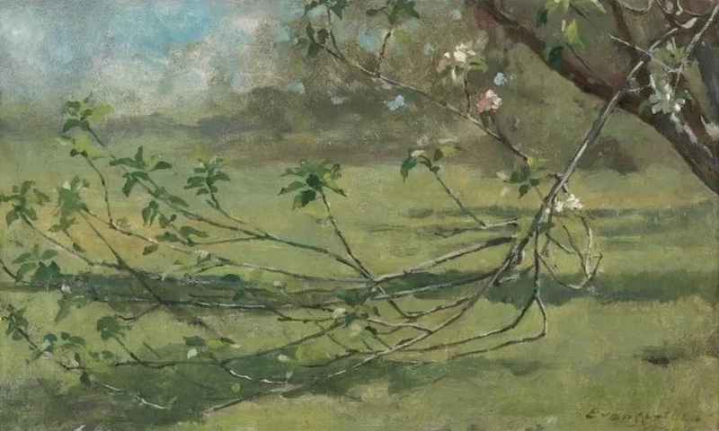Fiori di melo 1